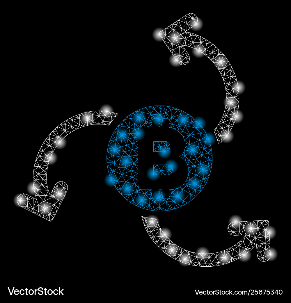 Bright mesh carcass bitcoin source swirl Bright mesh carcass bitcoin source swirl Vector Image