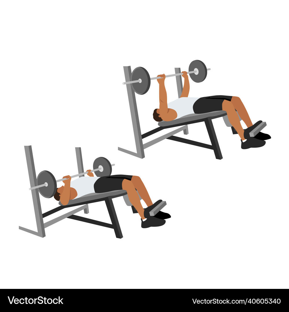 Man doing decline barbell bench press flat Vector Image
