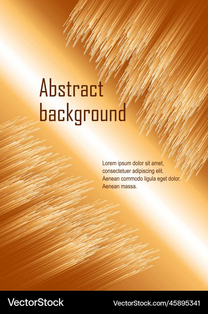 Abstract rectangular background with line design vector image