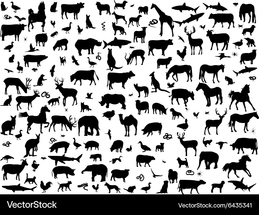 Animal Silhouettes Collection Vector Image