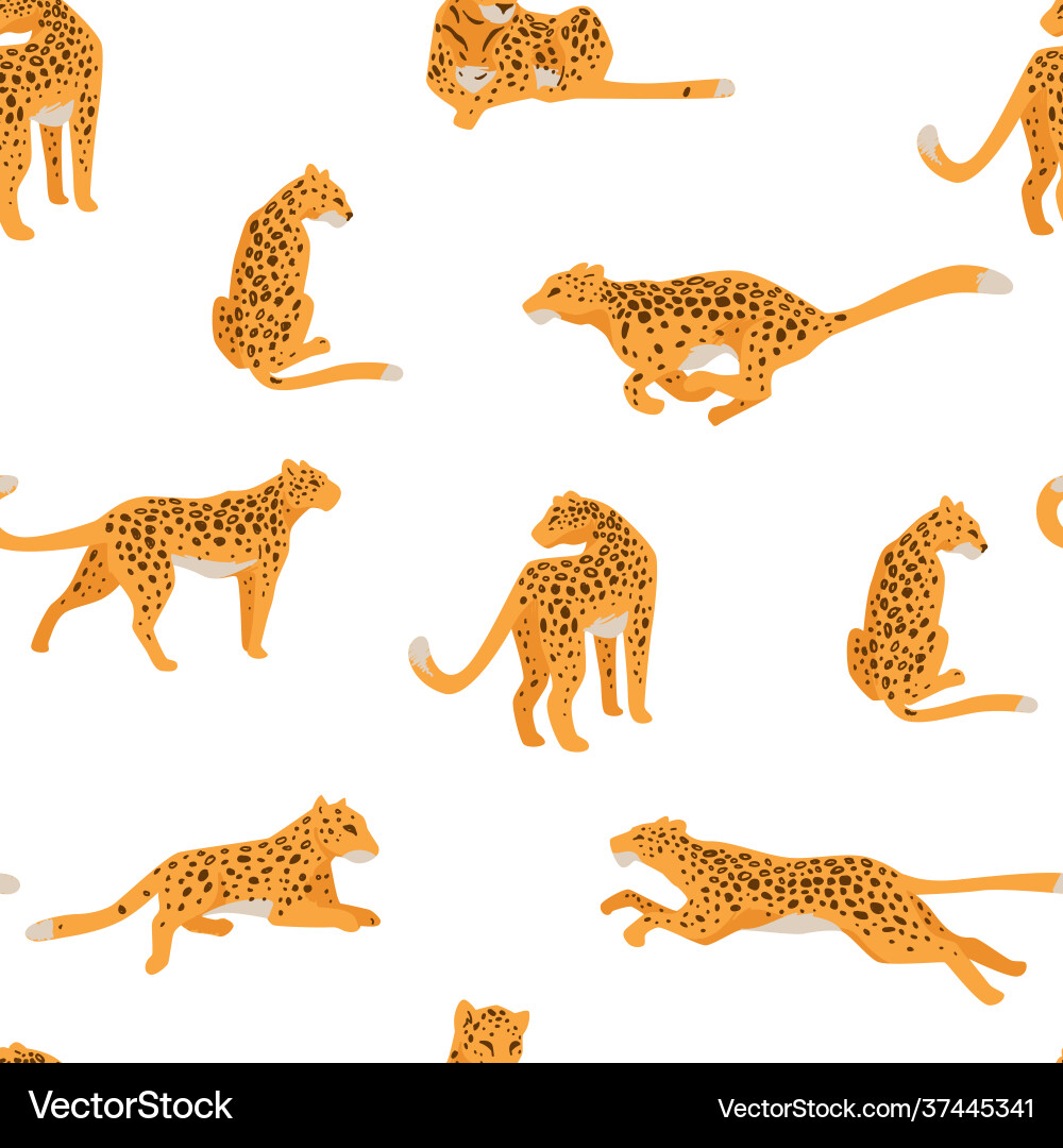 Running and hunting cheetah spotted leopards vector image