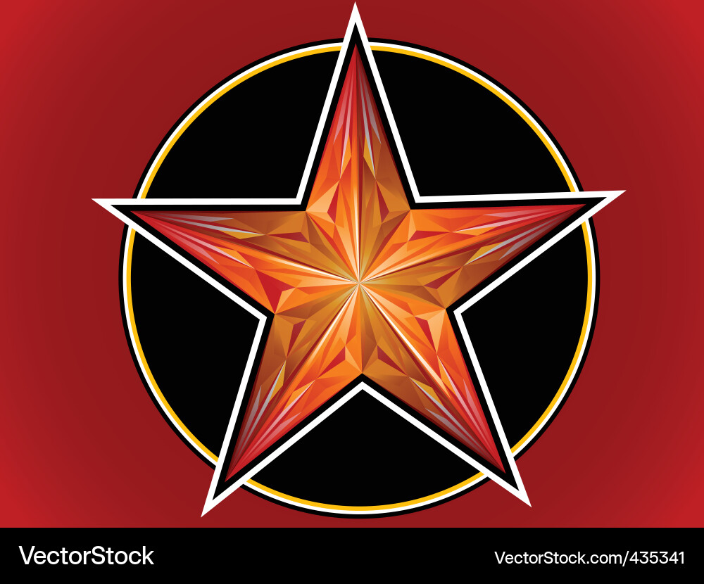 Star from a ruby Vector Image