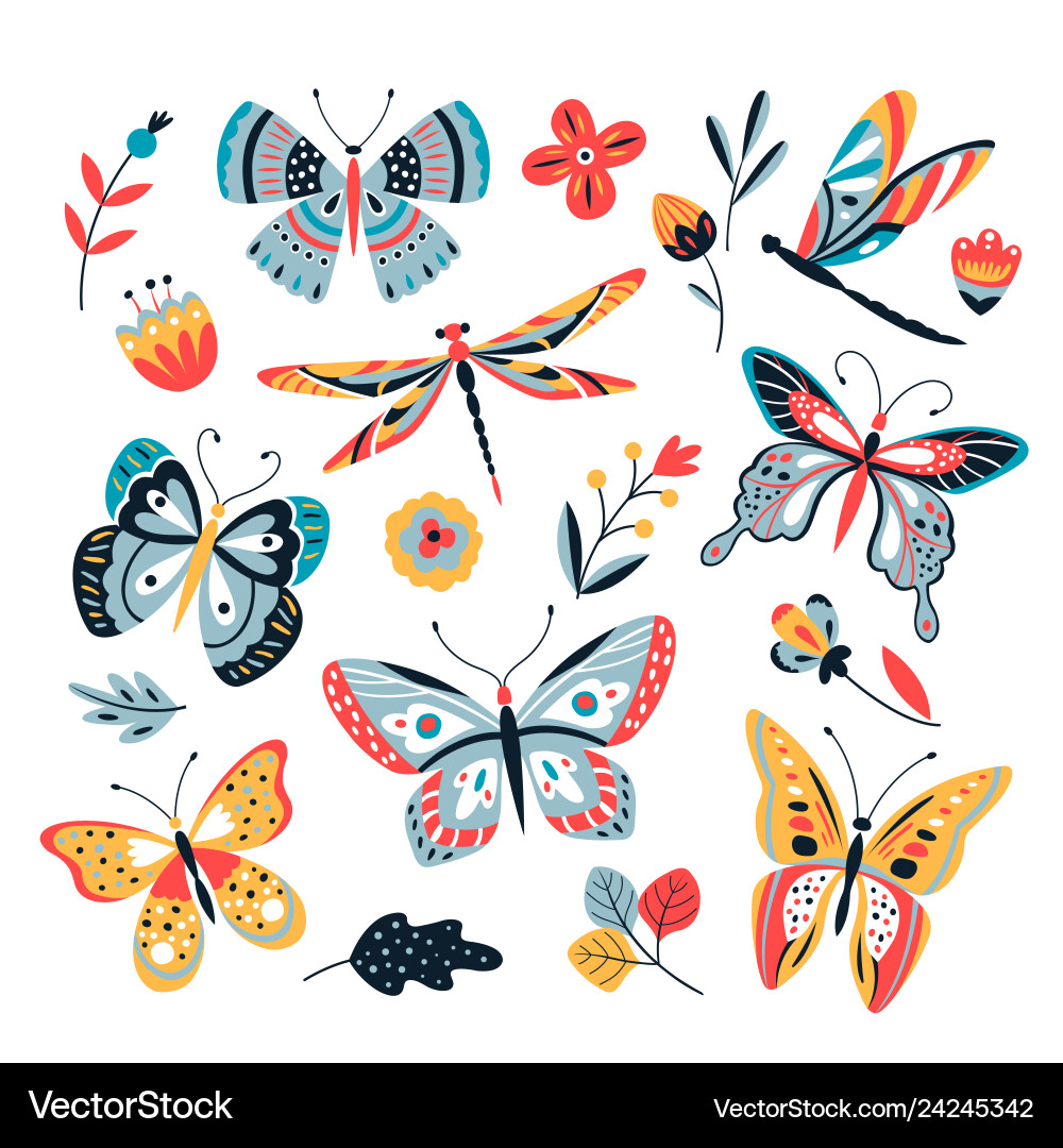 Colorful Butterfly and Floral Sketch Vector Image