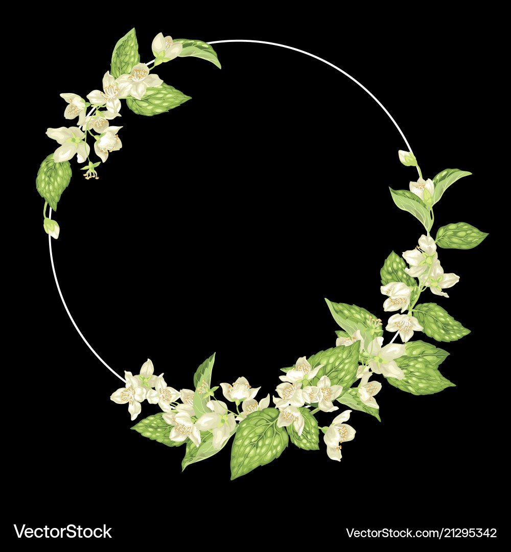 Decor element with jasmine in a shape of ring Decor element with jasmine in a shape of ring Vector Image