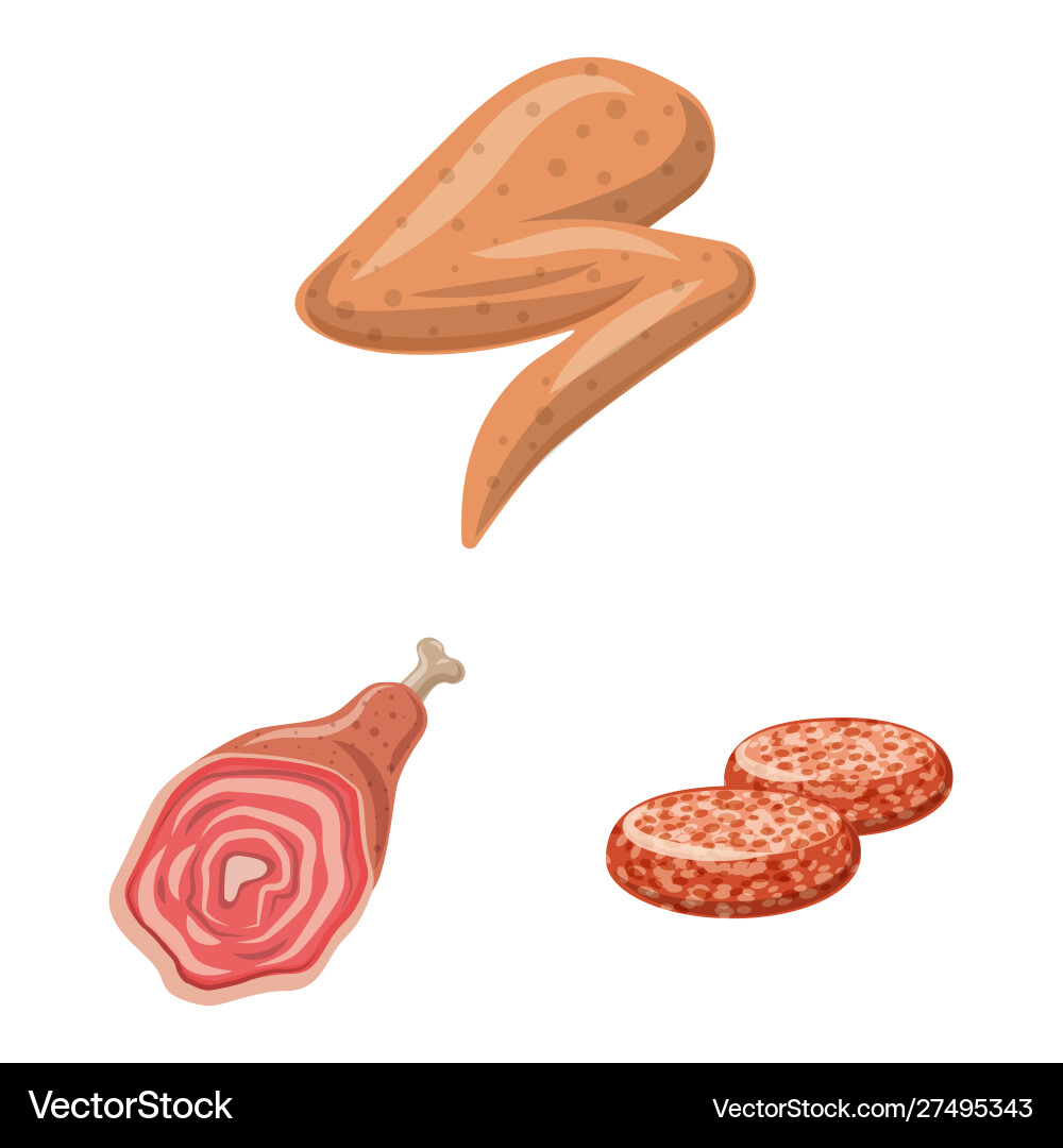 Isolated object meat and ham symbol set Vector Image