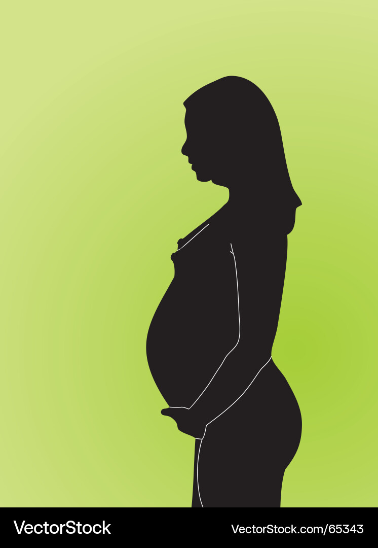 Pregnant Woman Silhouette Vector Image