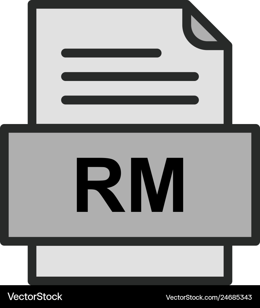 Rm file document icon Vector Image