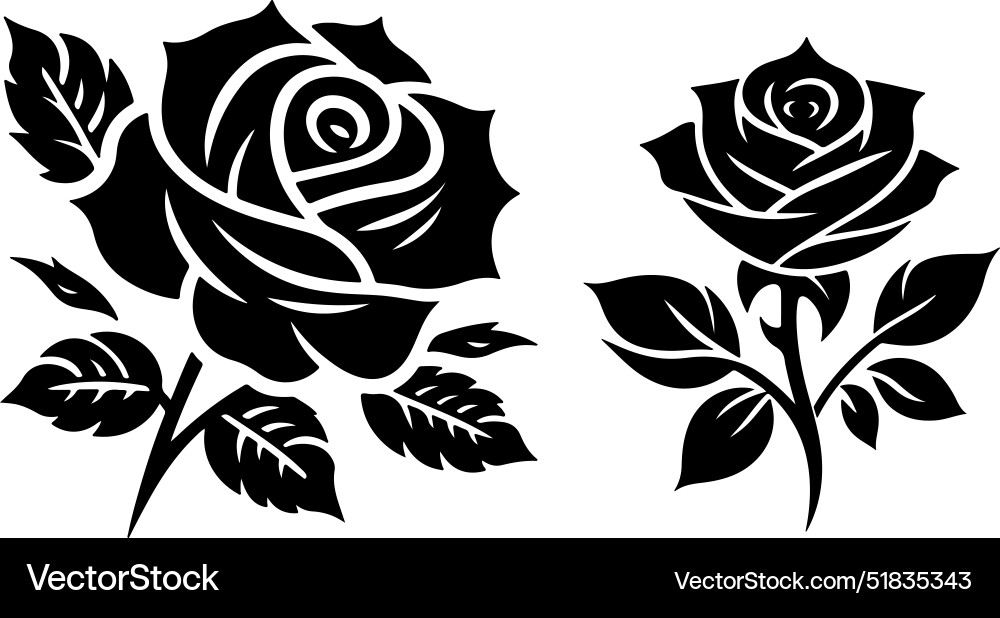 Rose 6 Royalty Free Vector Image - VectorStock