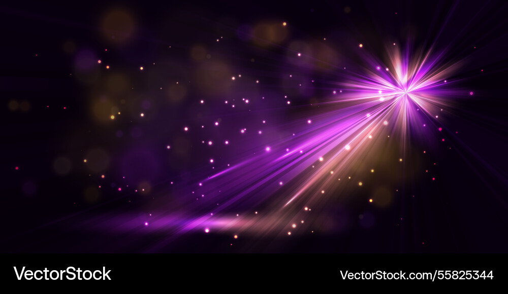 Bright flash effect with rays and glare light Bright flash effect with rays and glare light vector image
