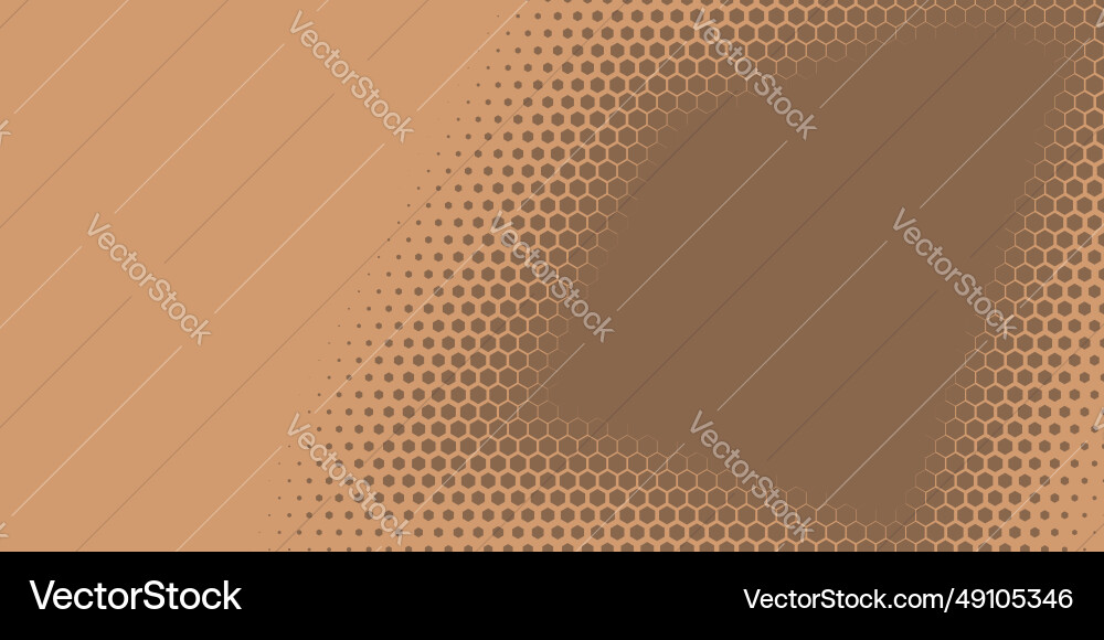 Geometric abstract hexagon two color background Vector Image