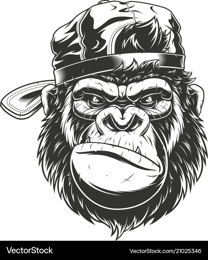 Gorilla head in a baseball cap Royalty Free Vector Image