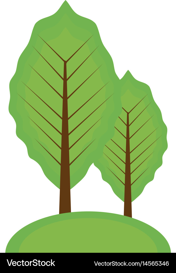 Trees icon image Vector Image