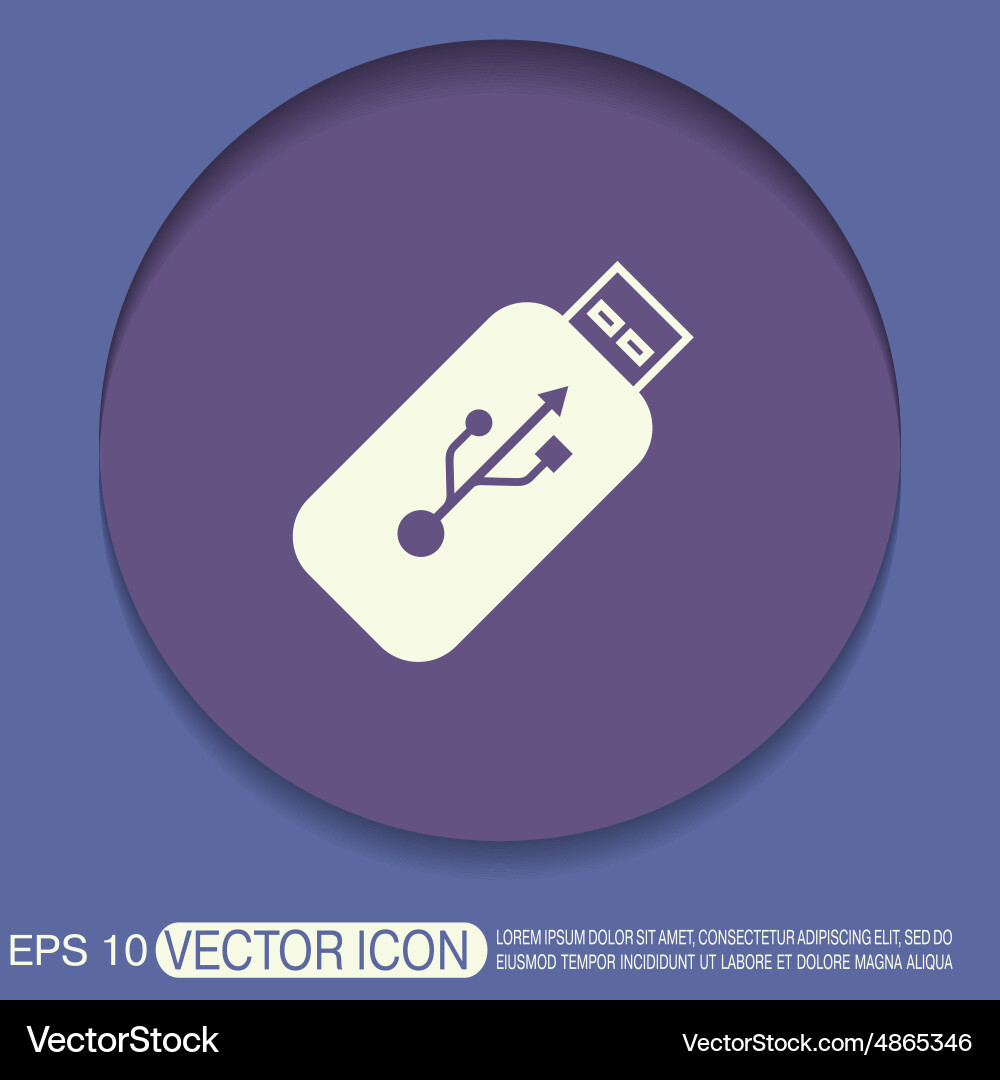 Usb flash icon disk Vector Image