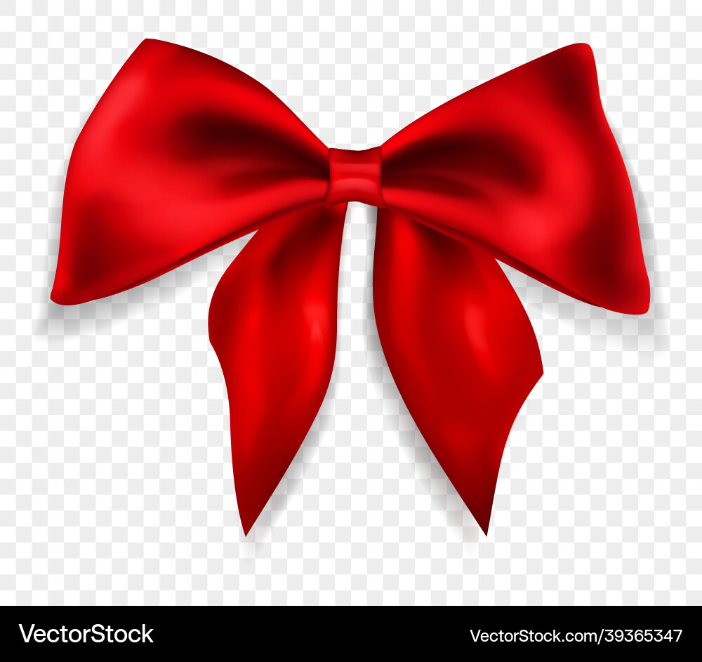 Beautiful big bow Royalty Free Vector Image - VectorStock