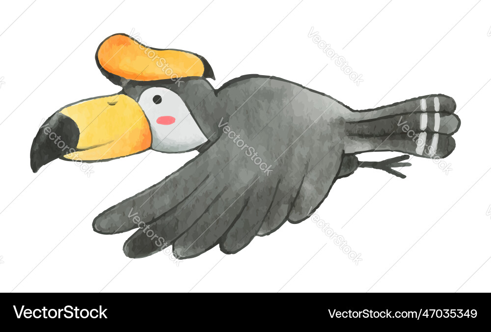 Hornbill bird watercolor paint design cute Vector Image