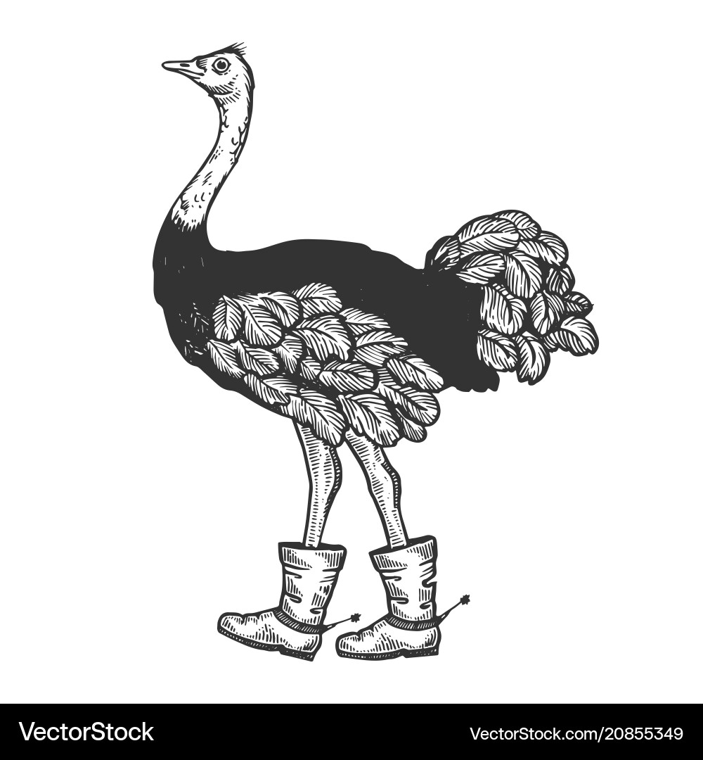 Ostrich in Boots - Scratch Board Style Vector Image
