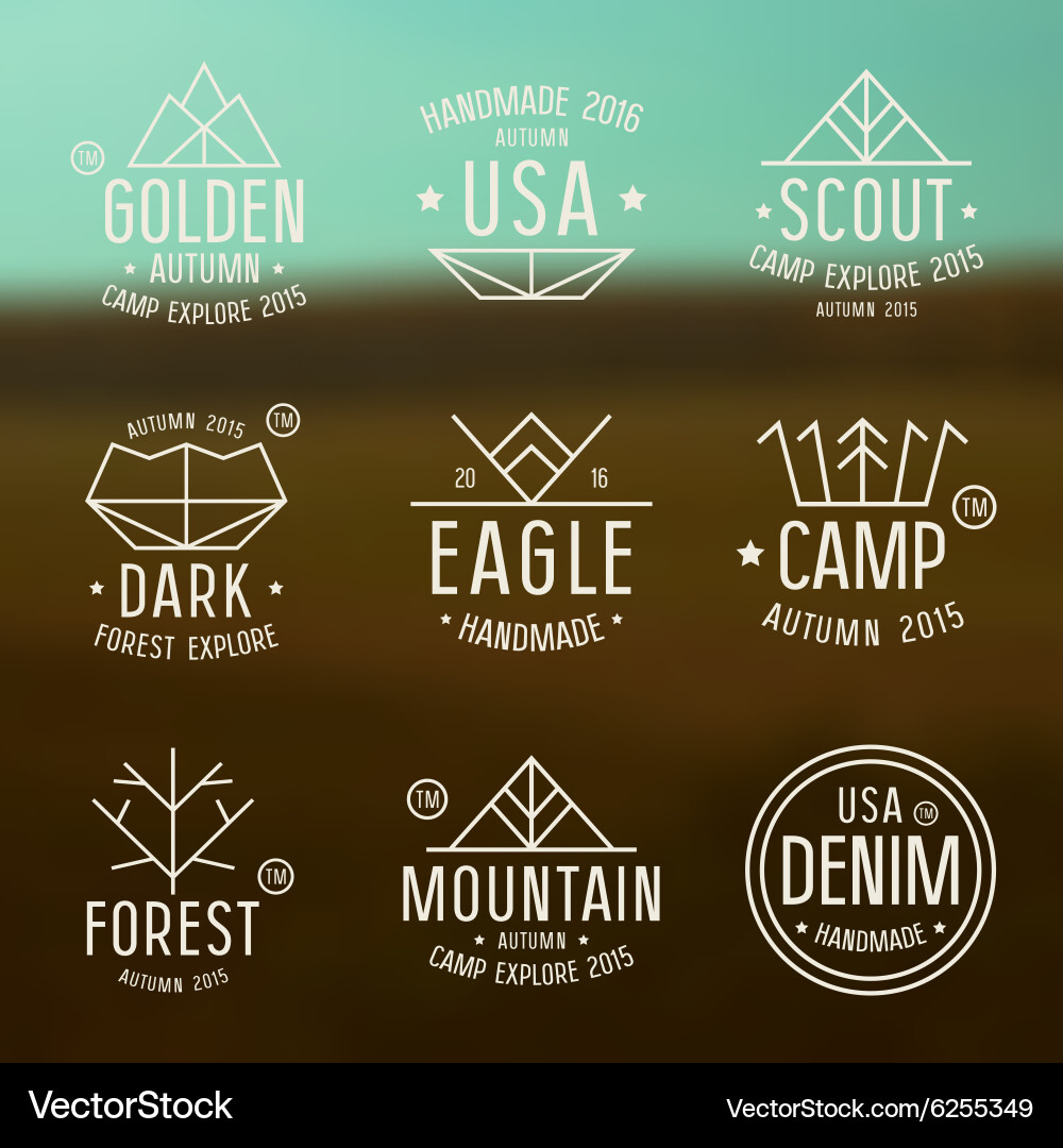 Set of badges in thin line style Vector Image