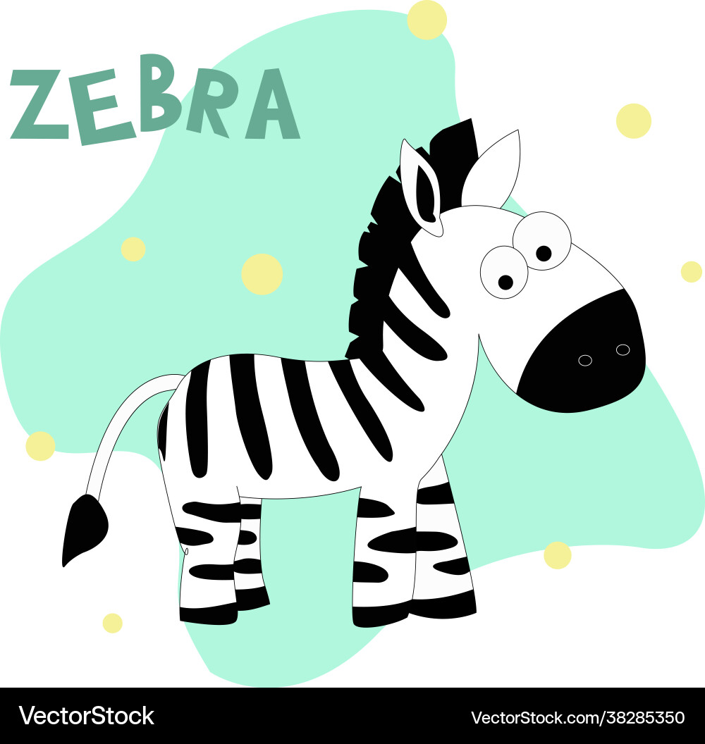 A zebra on white Vector Image