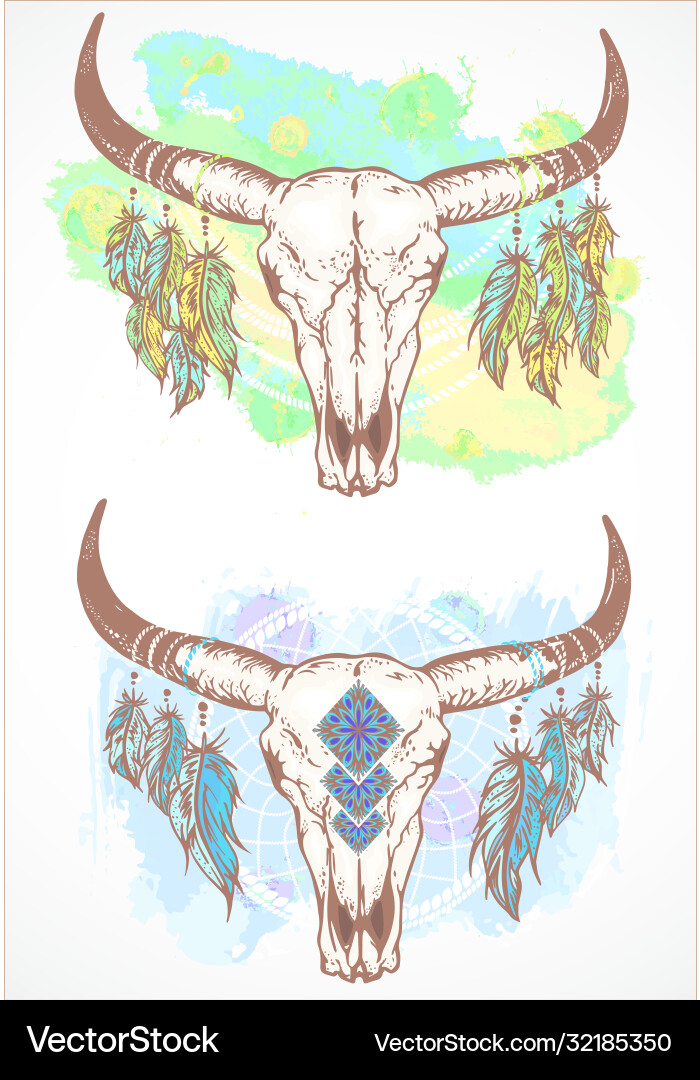 With a wild buffalo skulls and feathers With a wild buffalo skulls and feathers vector image