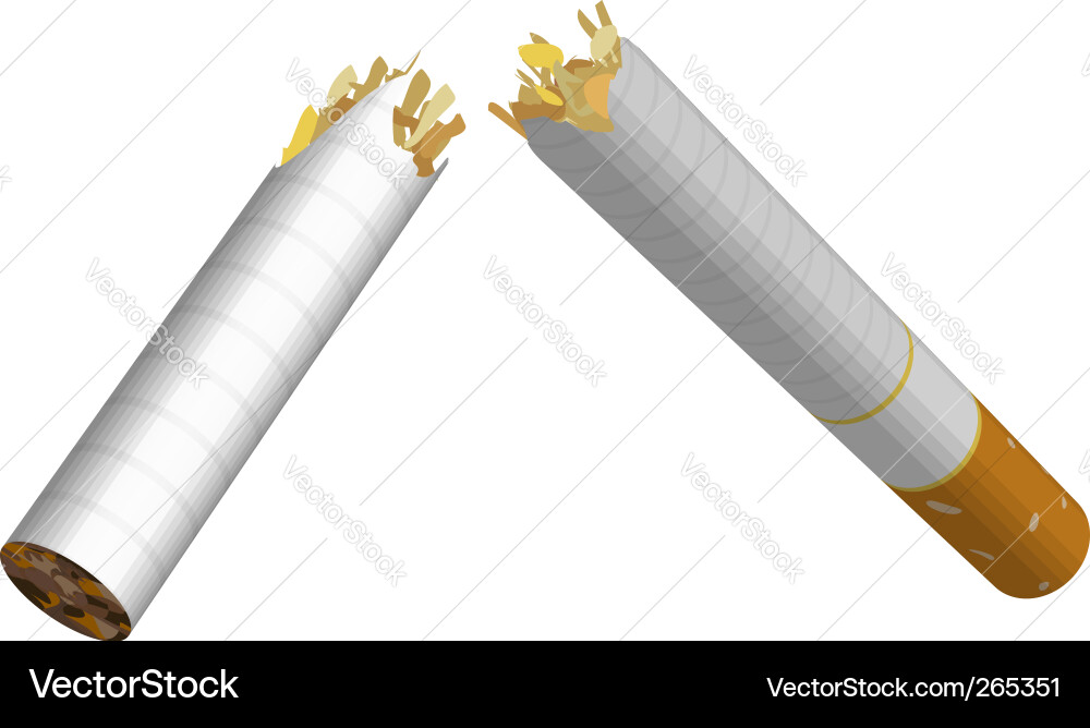 Broken Cigarette - 3D Render Vector Image