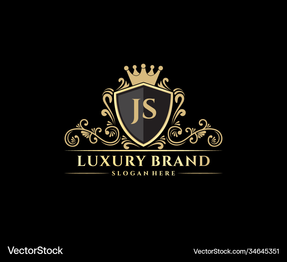 Elegant JS Initial Monogram vector image