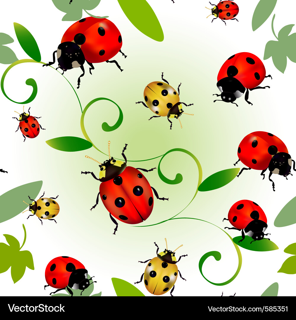 Floral Ladybird Pattern Vector Image