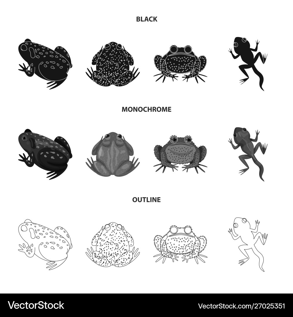 Isolated object wildlife and bog symbol set Isolated object wildlife and bog symbol set Vector Image