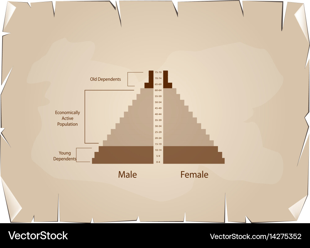 Detail of population pyramids graphs depend on age Vector Image