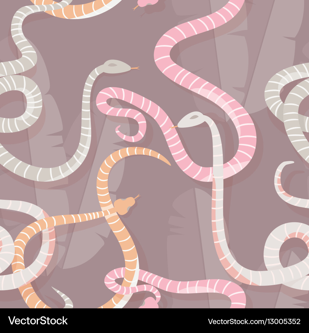Seamless pattern with colorful intertwined snakes vector image