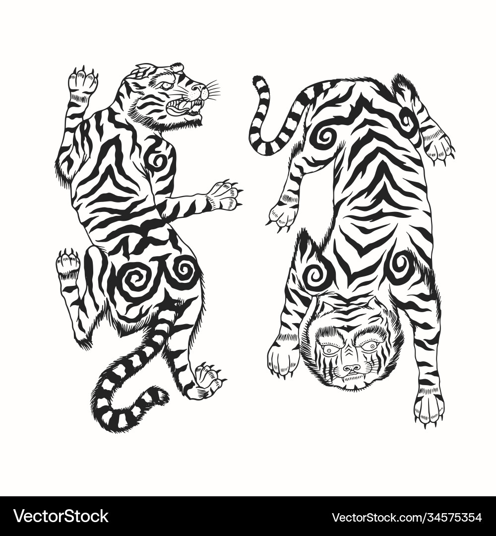 Asiatische japanische Tiger wild Tier für Tattoo Asiatische japanische Tiger wild Tier für Tattoo vektorbild