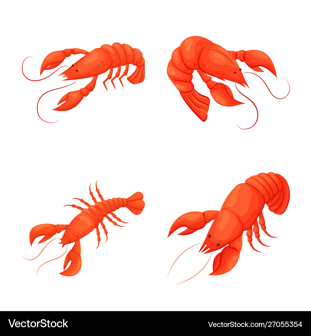 Isolated object shrimp and crab icon set Vector Image
