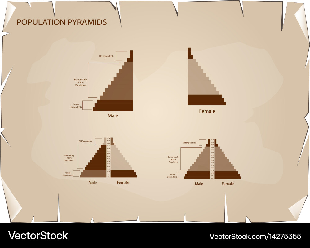 Detail of population pyramids graphs depend on old Vector Image