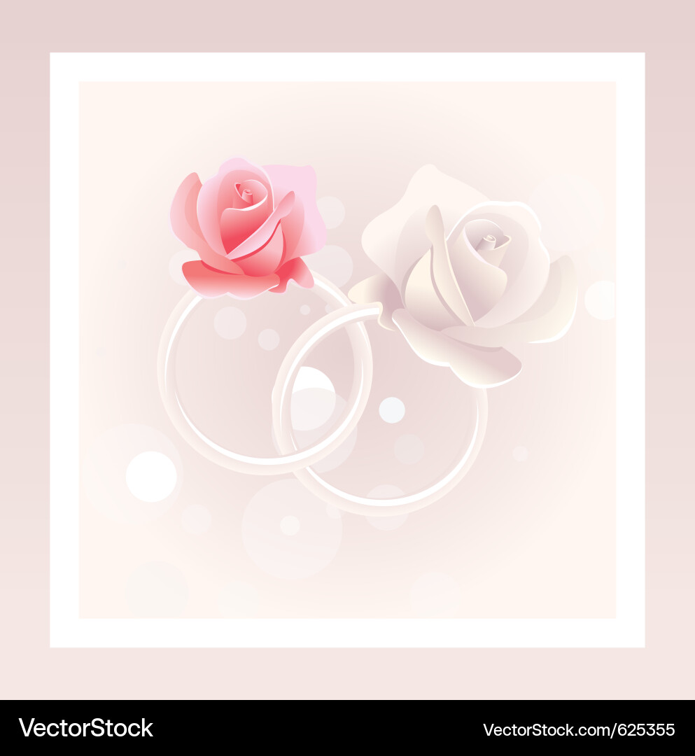 Romantische Hochzeit Ringe mit Rosen vektorbild