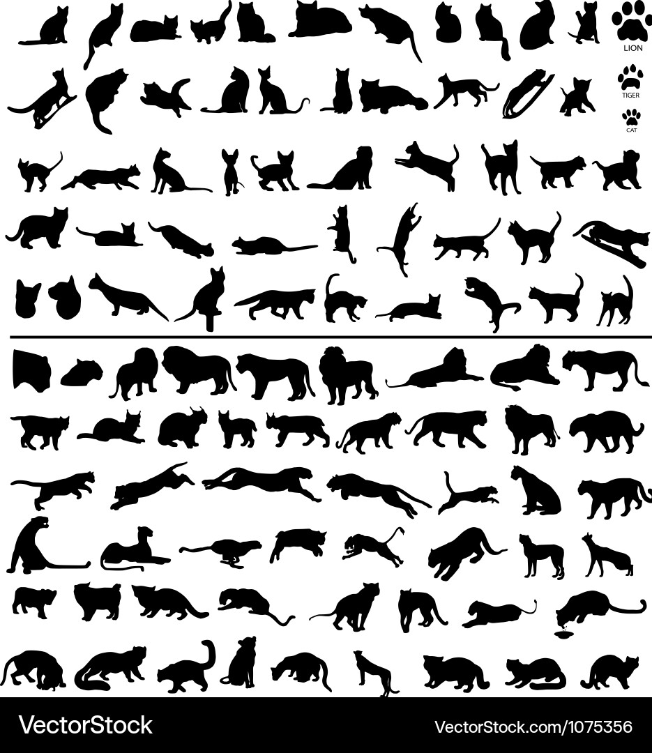 100 Cats Royalty Free Vector Image Vectorstock 100 Cats Royalty Free Vector Image Vectorstock