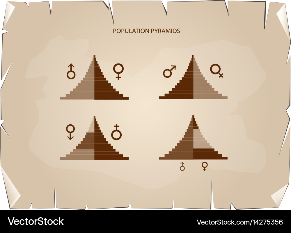Detail of population pyramids graphs depend on age Vector Image