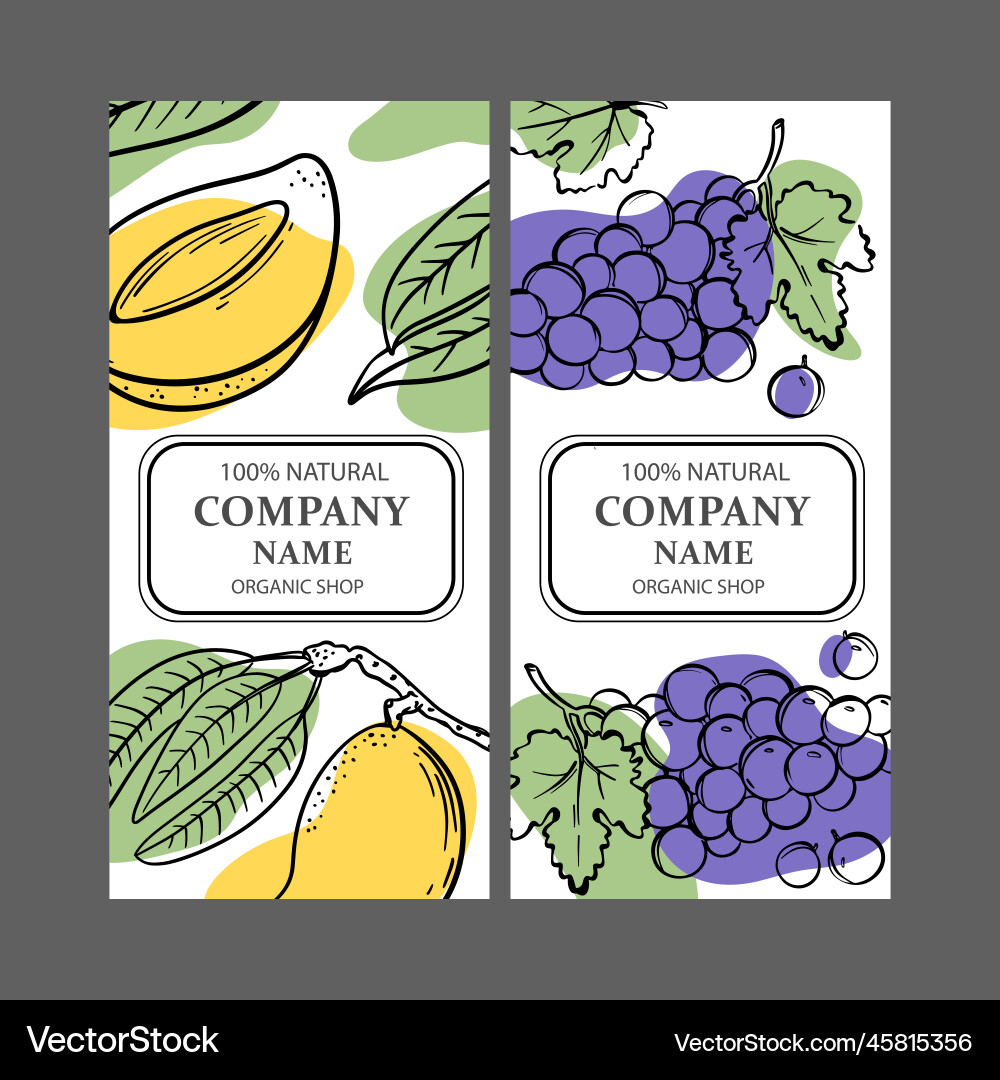 Grape mango labels design sketch set Grape mango labels design sketch set vector image