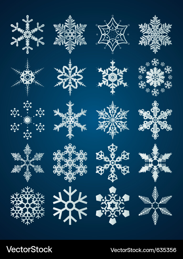 Winter Snowflake Collection vector image