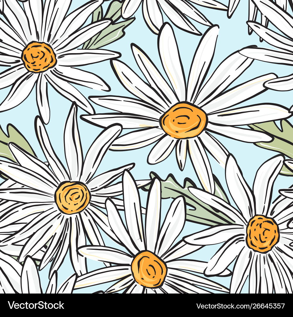 Chamomile bloom pattern summer abstract botany Chamomile bloom pattern summer abstract botany vector image