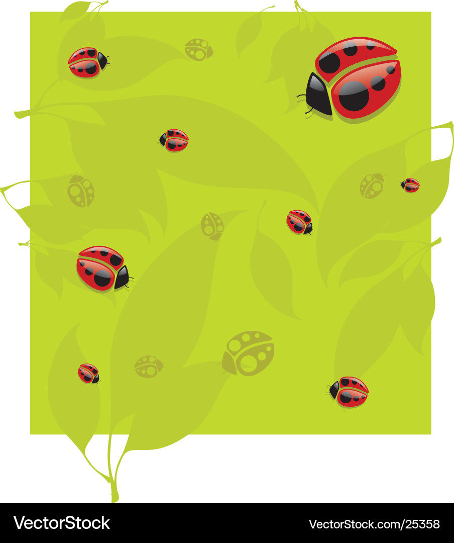Lady bug pattern vector image