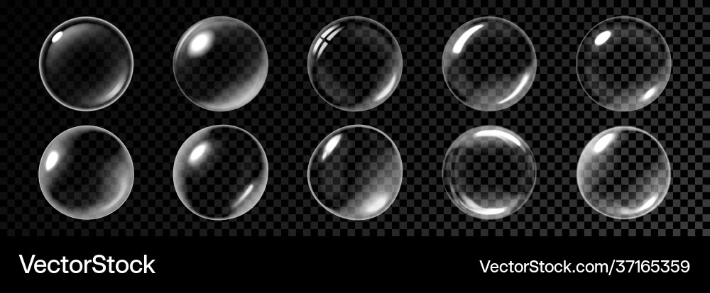 Bubbles realistic 3d soap bubble isolate vector image