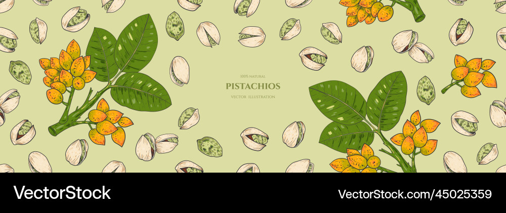 Frame with pistachios seamless pattern Frame with pistachios seamless pattern vector image