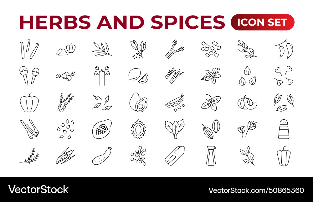 Herbs and spices - minimal thin-line web icon set Vector Image