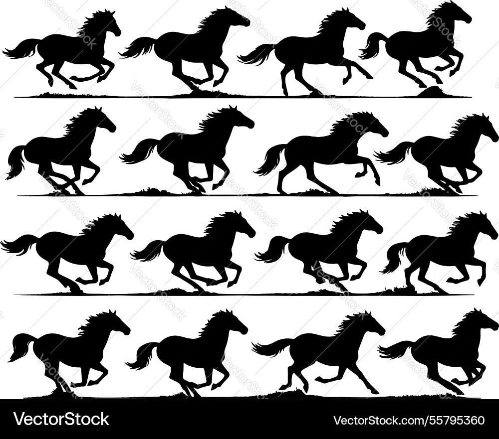 Horses running sequence vector image