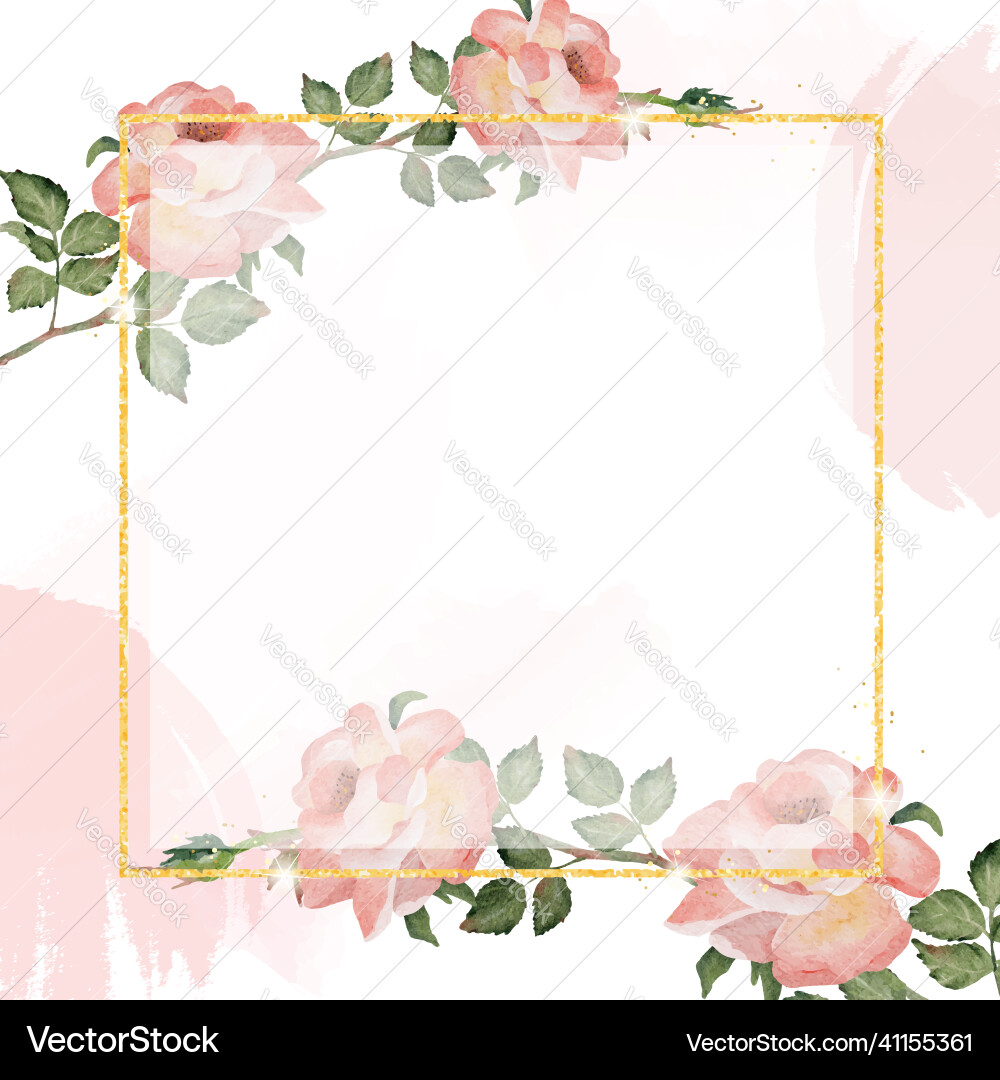 Aquarell englische Rose mit goldenem Luxus-Platz Aquarell englische Rose mit goldenem Luxus-Platz vektorbild