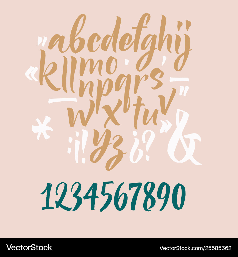Handwritten font script latin calligraphic set Vector Image