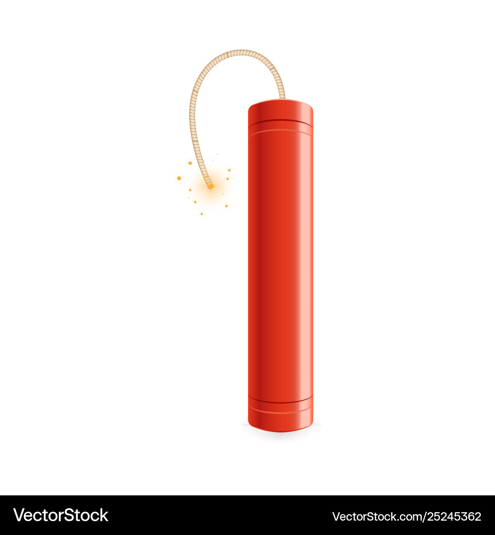 Red dynamite stick with lit fuse ready to explode Red dynamite stick with lit fuse ready to explode Vector Image