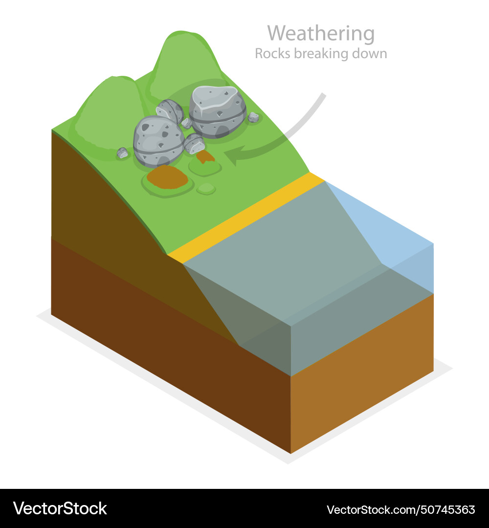 3d isometric flat Royalty Free Vector Image - VectorStock