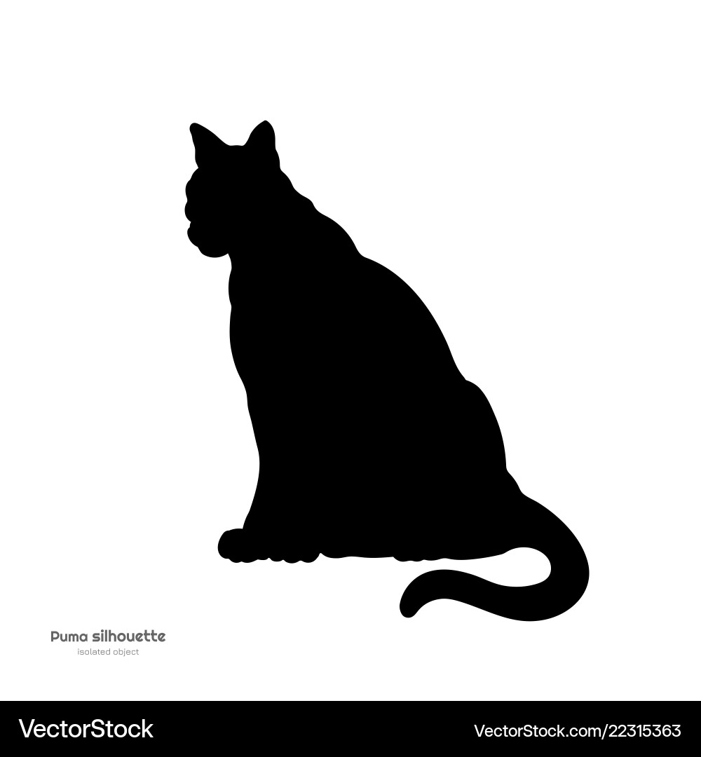 Black silhouette of sitting puma isolated image Black silhouette of sitting puma isolated image vector image