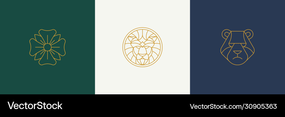 Line decoration design elements set - lion Line decoration design elements set - lion vector image
