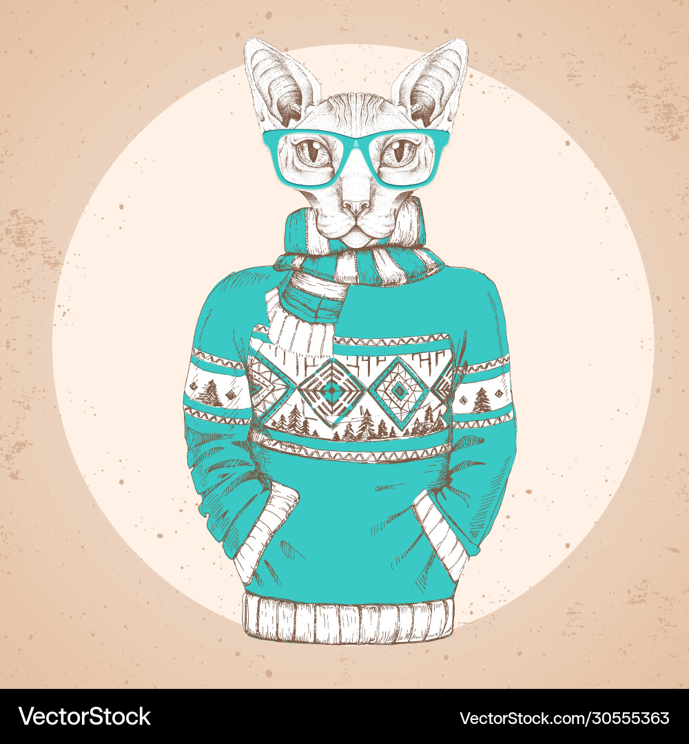 Tiersphynx Katze gekleidet in Pullover Tiersphynx Katze gekleidet in Pullover vektorbild